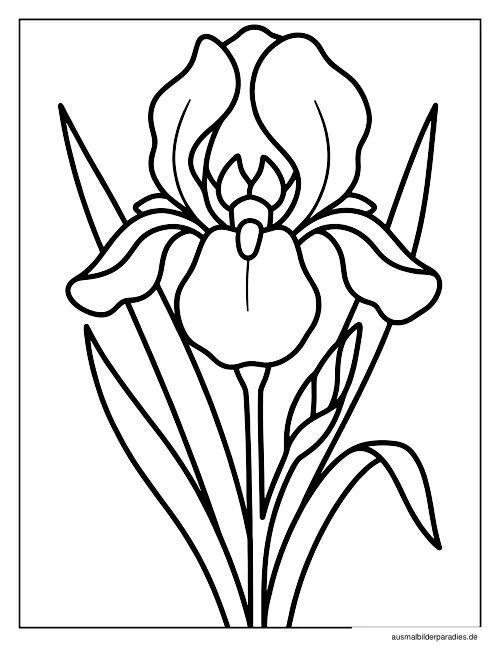 Blumen Ausmalbild 16 - kostenlos zum Ausdrucken