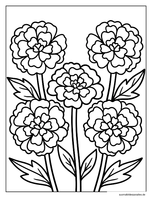Blumen Ausmalbild 20 - kostenlos zum Ausdrucken