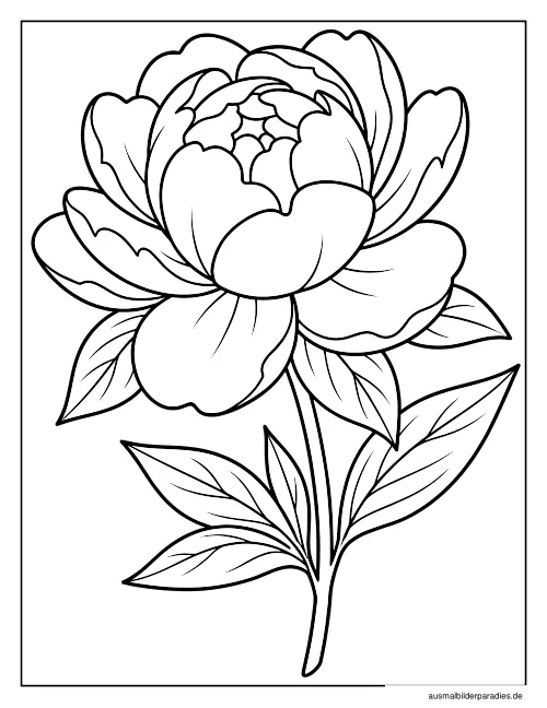 Blumen Ausmalbild 22 - kostenlos zum Ausdrucken