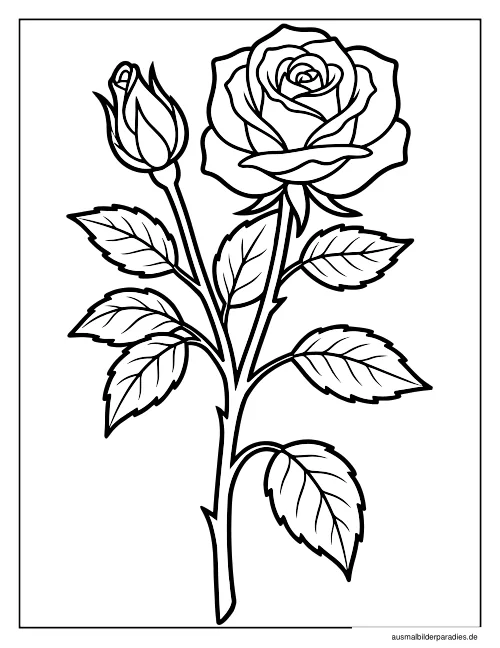 Blumen Ausmalbild 23 - kostenlos zum Ausdrucken