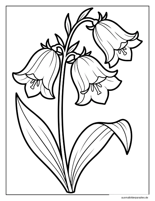 Blumen Ausmalbild 3 - kostenlos zum Ausdrucken