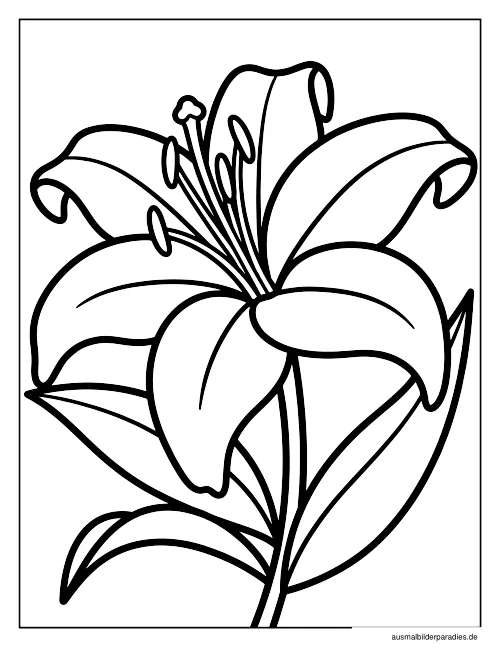Blumen Ausmalbild 31 - kostenlos zum Ausdrucken