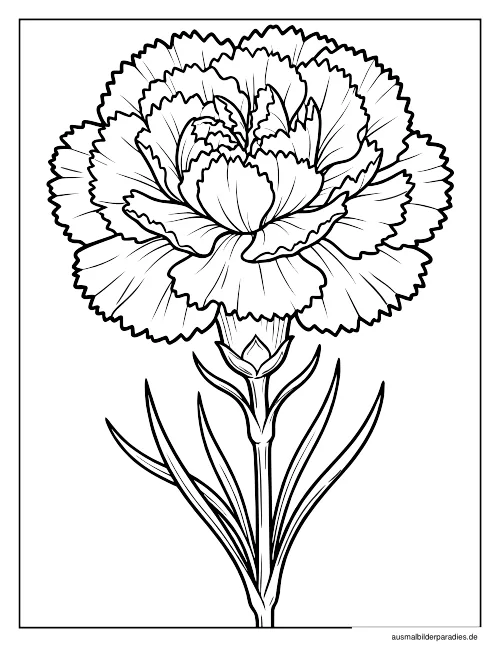 Blumen Ausmalbild 5 - kostenlos zum Ausdrucken