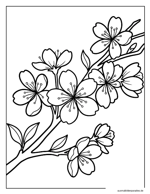 Blumen Ausmalbild 6 - kostenlos zum Ausdrucken