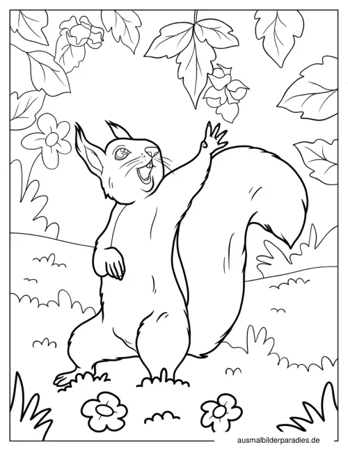 Eichhörnchen Ausmalbild 25 als Gratis-PDF Eichhörnchen Ausmalbild 25 - kostenlos zum Ausdrucken
