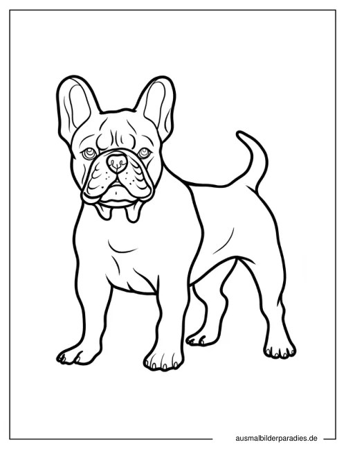 Französische Bulldogge Ausmalbild 26 - kostenlos zum Ausdrucken