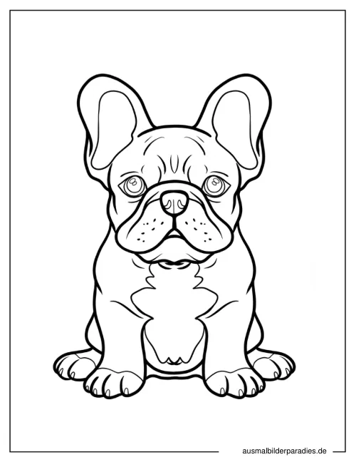 Französische Bulldogge Ausmalbild 6 - kostenlos zum Ausdrucken