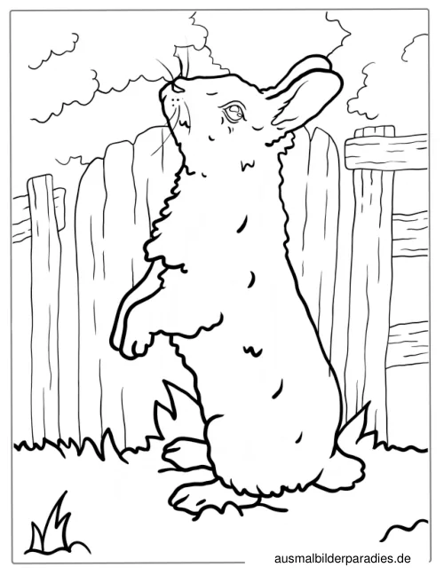 Hase Ausmalbild 33 als Gratis-PDF Hase Ausmalbild 33 - kostenlos zum Ausdrucken