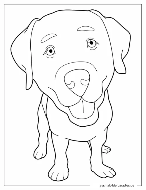 Hund Ausmalbild 20 - kostenlos zum Ausdrucken