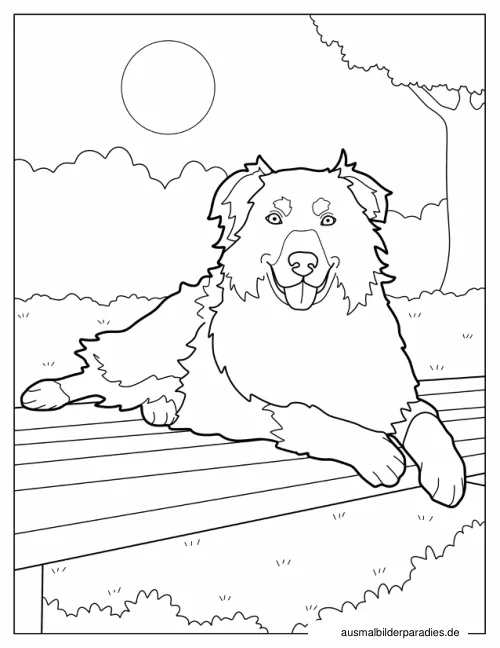 Hund Ausmalbild 26 - kostenlos zum Ausdrucken