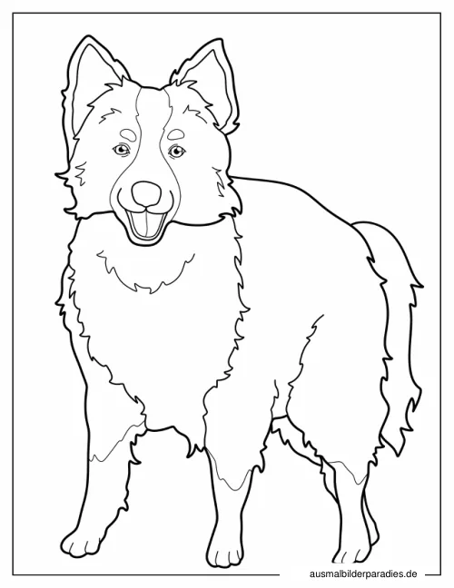 Hund Ausmalbild 30 - kostenlos zum Ausdrucken