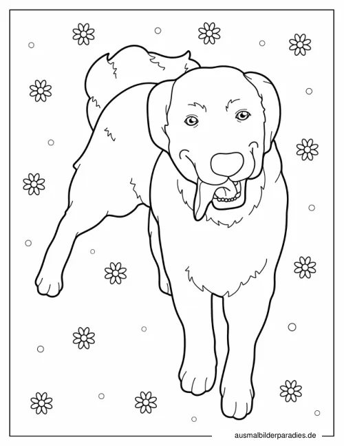 Hund Ausmalbild 31 - kostenlos zum Ausdrucken