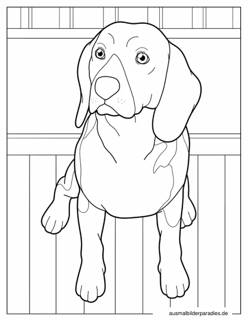 Hund Ausmalbild 5 - kostenlos zum Ausdrucken