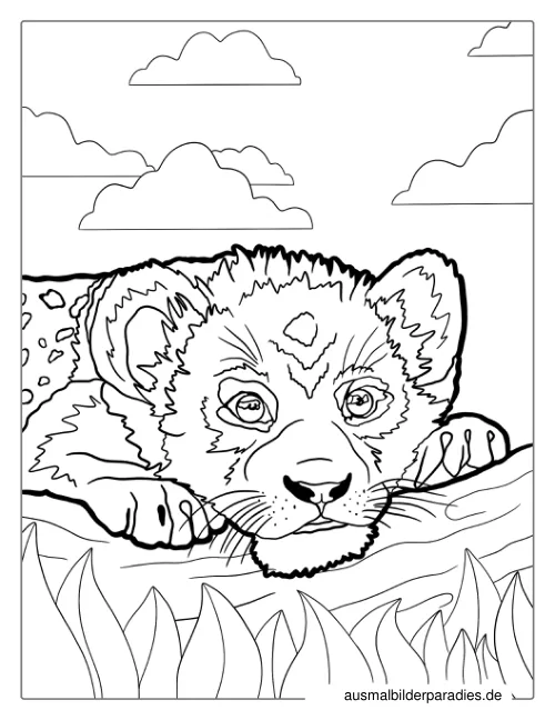 Löwe Ausmalbild 5 als Gratis-PDF Löwe Ausmalbild 5 - kostenlos zum Ausdrucken