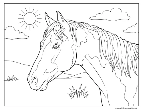 Pferde Ausmalbild 4 als Gratis-PDF Pferde Ausmalbild 4 - kostenlos zum Ausdrucken