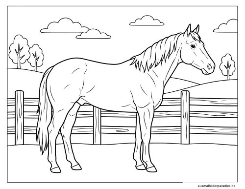 Pferde Ausmalbild 5 als Gratis-PDF Pferde Ausmalbild 5 - kostenlos zum Ausdrucken