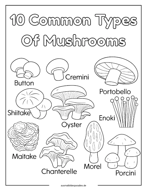 Pilz Ausmalbild 26 als Gratis-PDF Pilz Ausmalbild 26 - kostenlos zum Ausdrucken