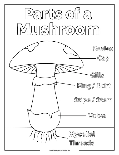 Pilz Ausmalbild 28 als Gratis-PDF Pilz Ausmalbild 28 - kostenlos zum Ausdrucken