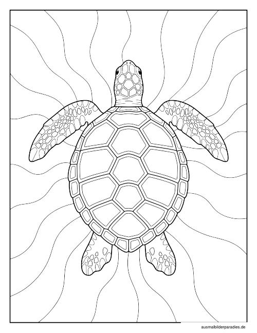 Schildkröte Ausmalbild 15 - kostenlos zum Ausdrucken