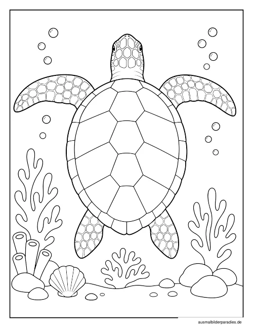 Schildkröte Ausmalbild 16 - kostenlos zum Ausdrucken