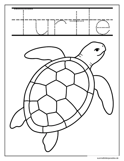Schildkröte Ausmalbild 17 - kostenlos zum Ausdrucken