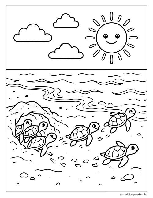 Schildkröte Ausmalbild 2 - kostenlos zum Ausdrucken
