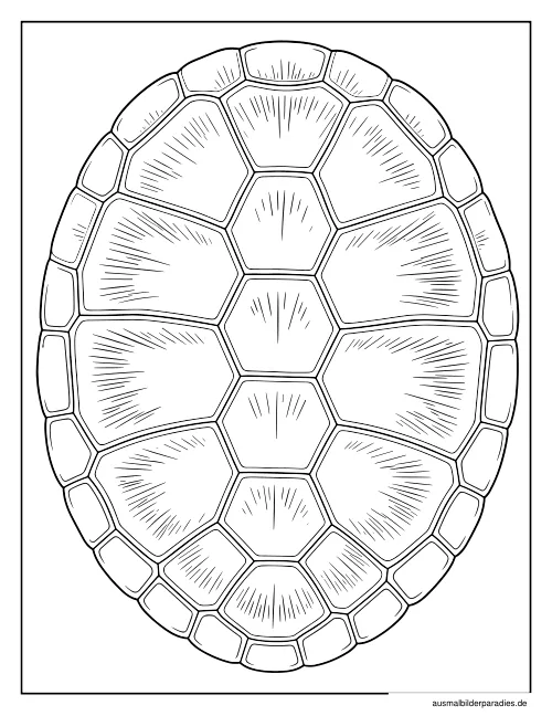 Schildkröte Ausmalbild 27 - kostenlos zum Ausdrucken