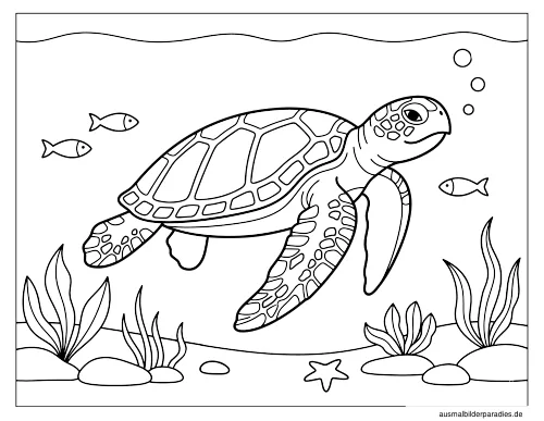 Schildkröte Ausmalbild 32 - kostenlos zum Ausdrucken