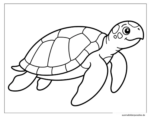 Schildkröte Ausmalbild 8 - kostenlos zum Ausdrucken