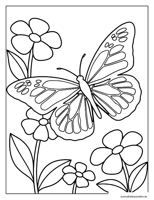 Schmetterling Ausmalbild 21 - kostenlos zum Ausdrucken
