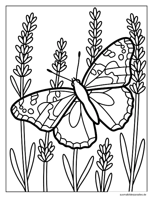 Schmetterling Ausmalbild 23 - kostenlos zum Ausdrucken