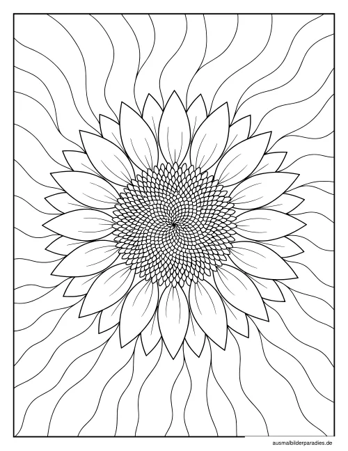Sonnenblume Ausmalbild 14 als Gratis-PDF Sonnenblume Ausmalbild 14 - kostenlos zum Ausdrucken